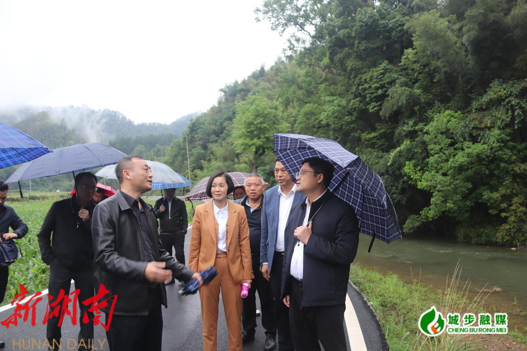 余勋伟调研蒋坊乡、丹口镇全域旅游发展工作_邵阳头条网